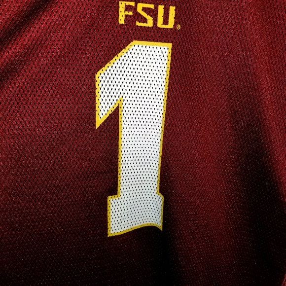 Florida State Seminoles Football Jersey - Picture 3 of 6